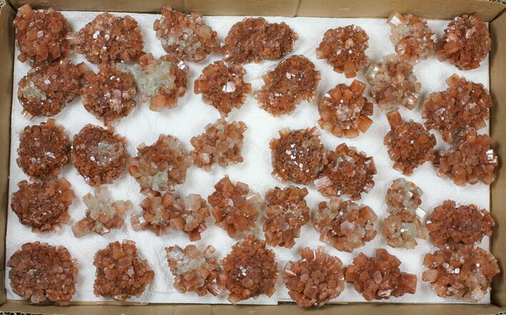 Lot: / to / Twinned Aragonite Clusters - Pieces #134143